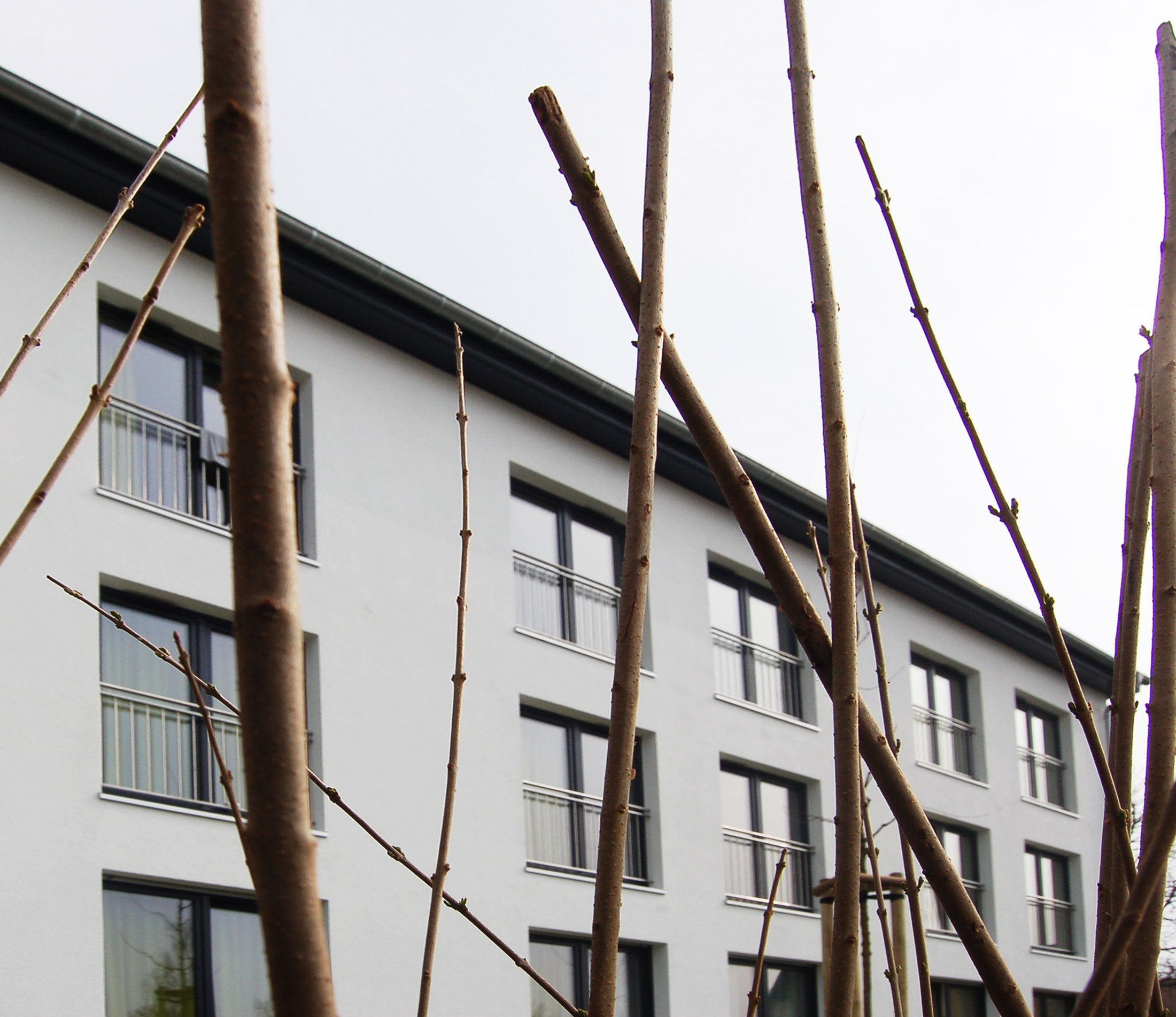 Studierendenwohnheim in Lippstadt mit mehreren Fenstern, umgeben von jungen Bäumen.
