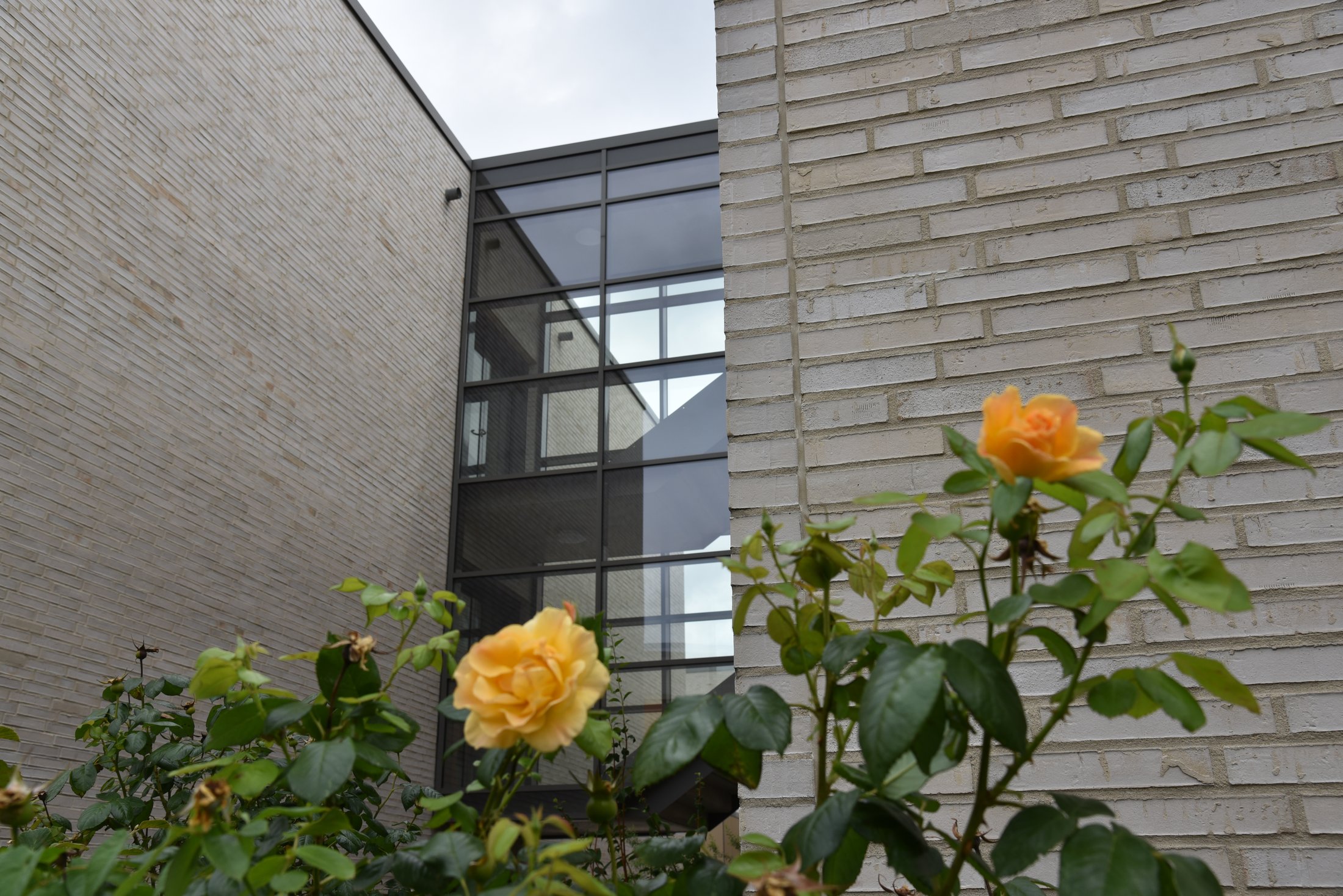 Modernes Studierendenwohnheim am Alois-Fuchs-Weg in Paderborn mit blühenden Rosen im Vordergrund.