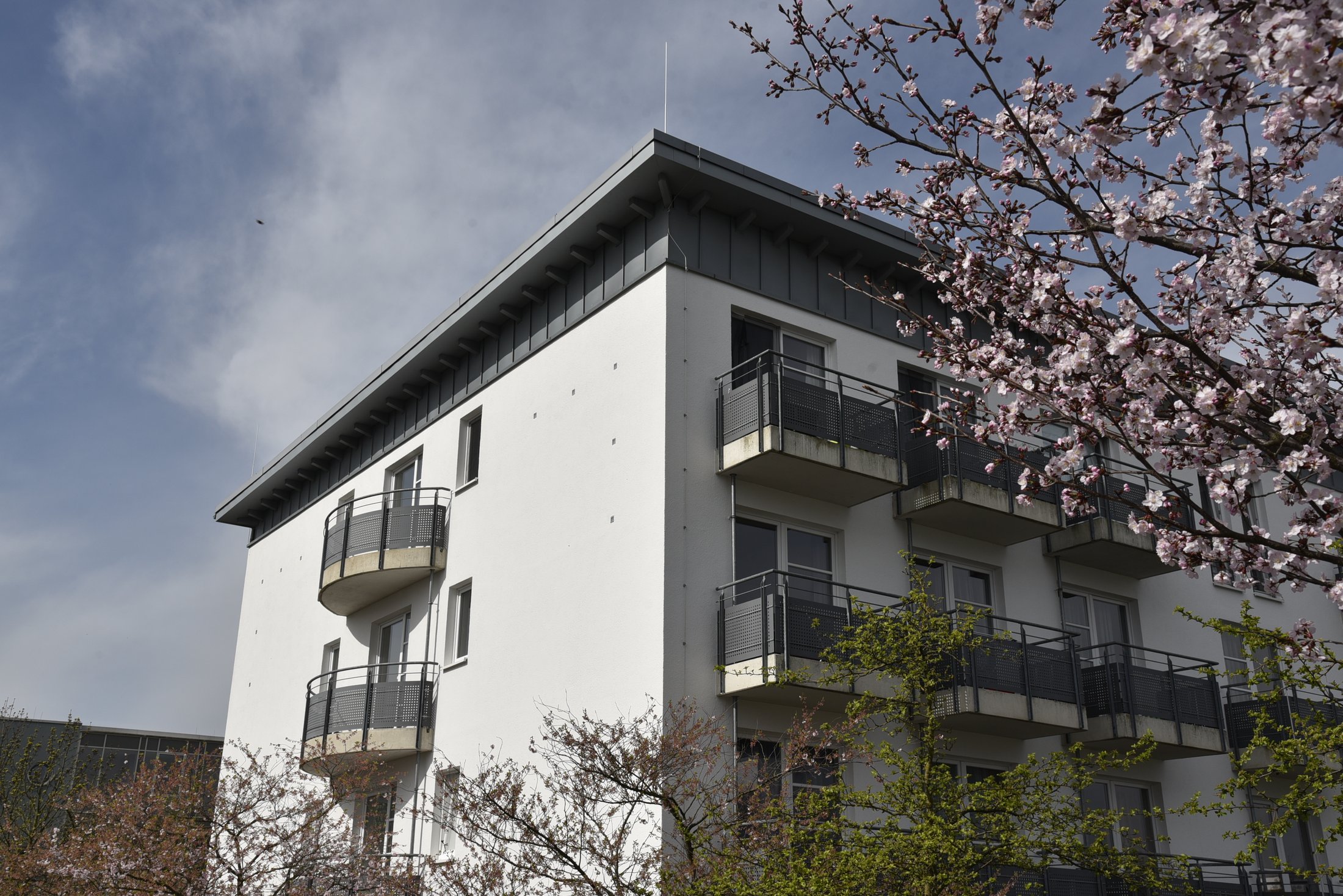 Studierendenwohnheim in Paderborn-Mersinweg_4 mit blühenden Bäumen und modernem Architekturdesign.
